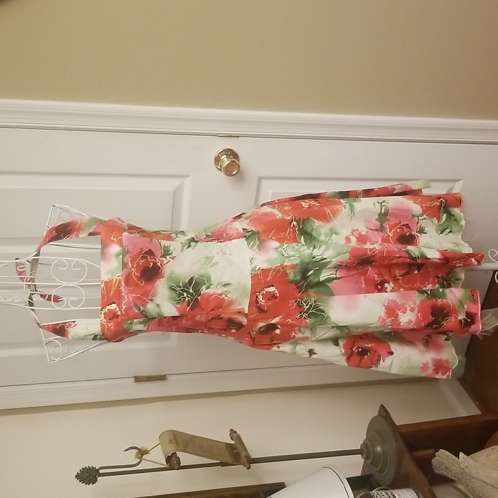 Gorgeous Rinascimento Dress